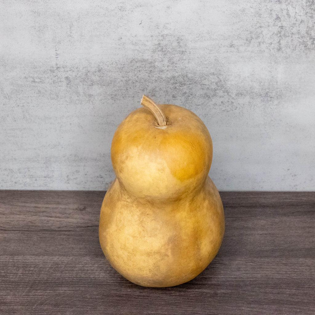 Dried Hourglass Bottle Gourd - 5" in Diameter