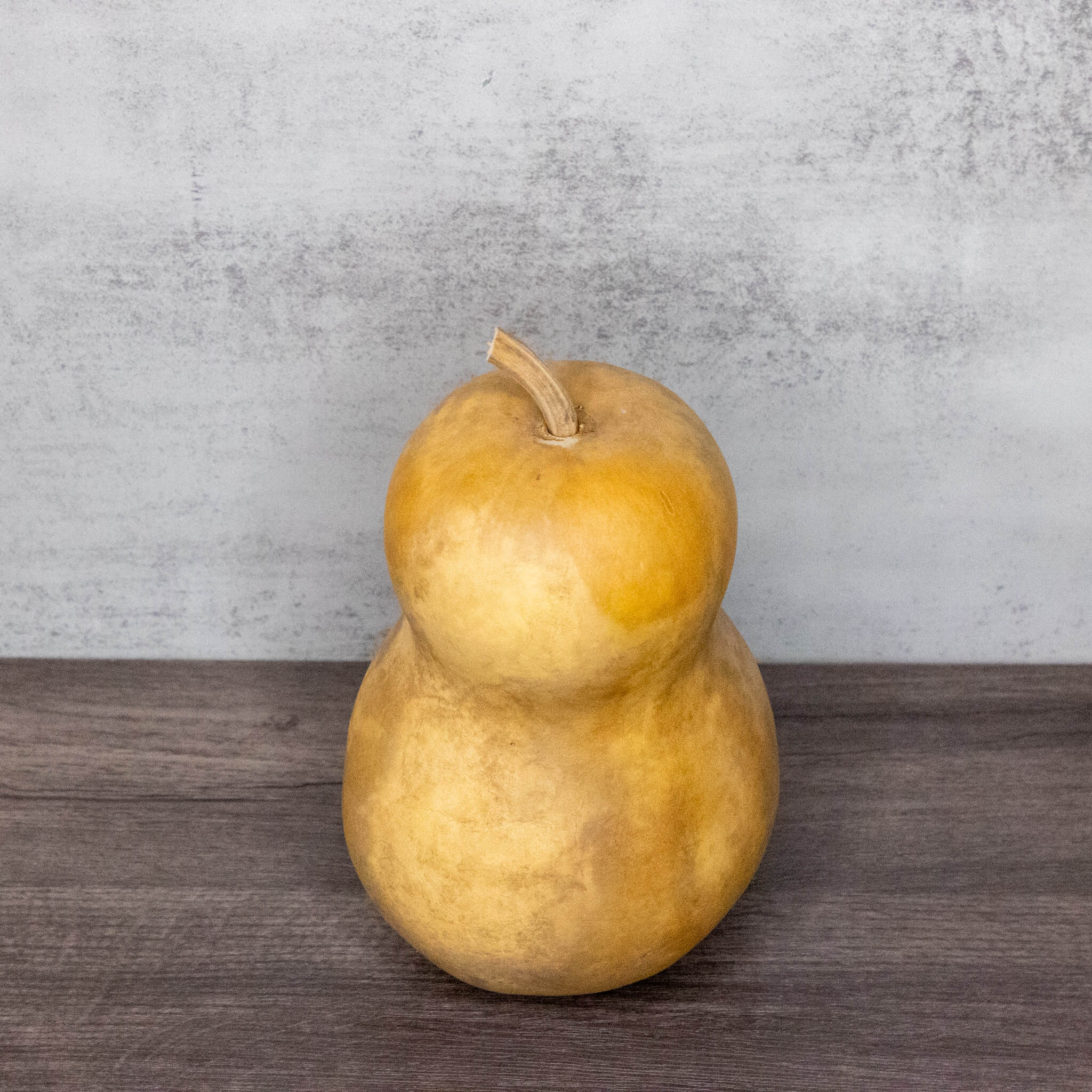 Dried Hourglass Bottle Gourd - 5" in Diameter