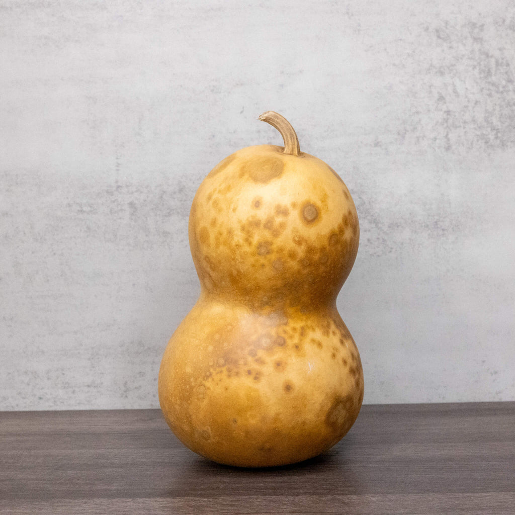 Dried Hourglass Bottle Gourd - 5" in Diameter