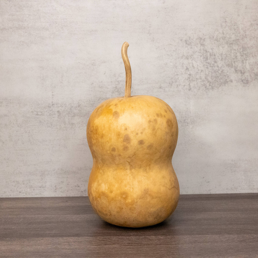 Dried Hourglass Bottle Gourd - 5" in Diameter