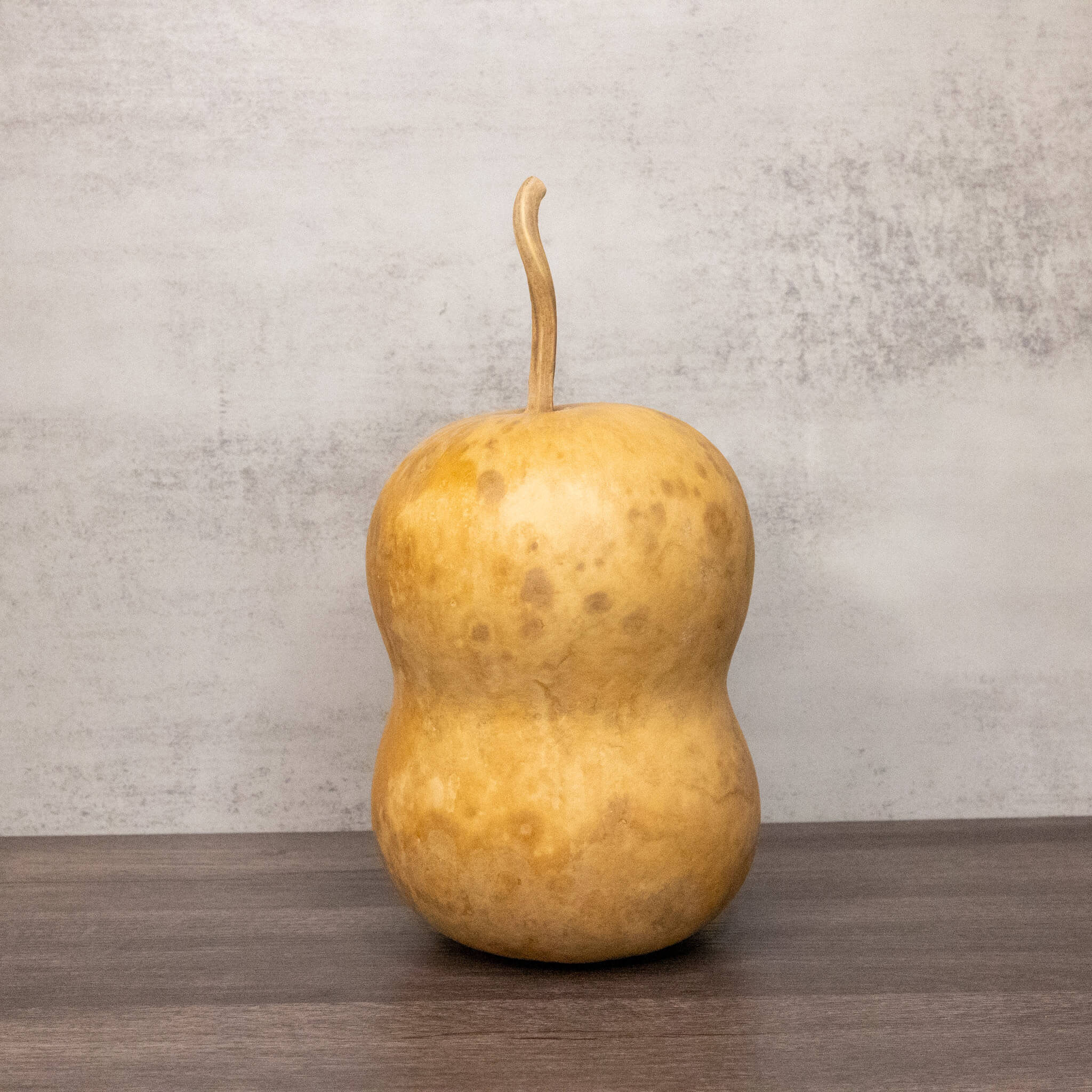 Dried Hourglass Bottle Gourd - 5" in Diameter