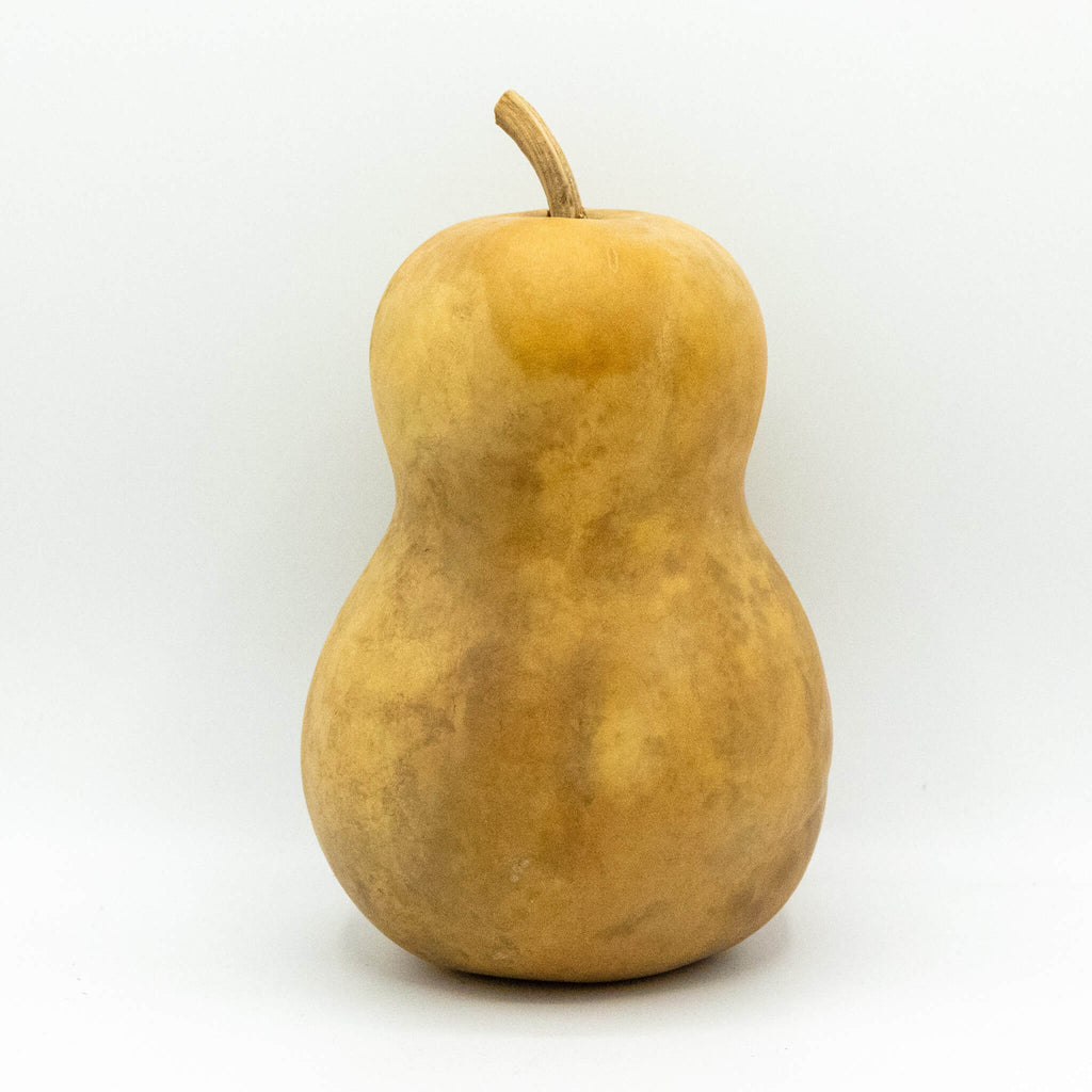 Dried Hourglass Bottle Gourd - 5" in Diameter