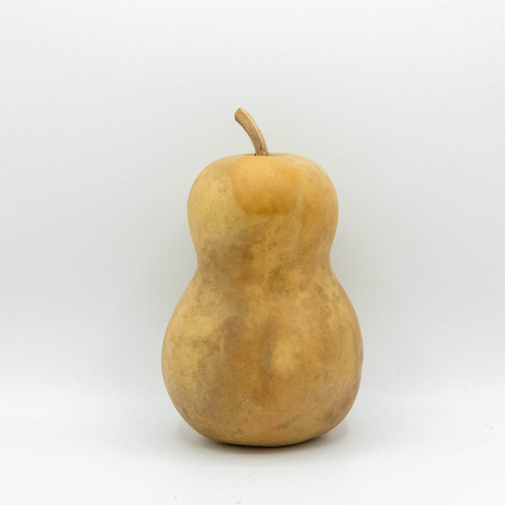 Dried Hourglass Bottle Gourd - 5" in Diameter