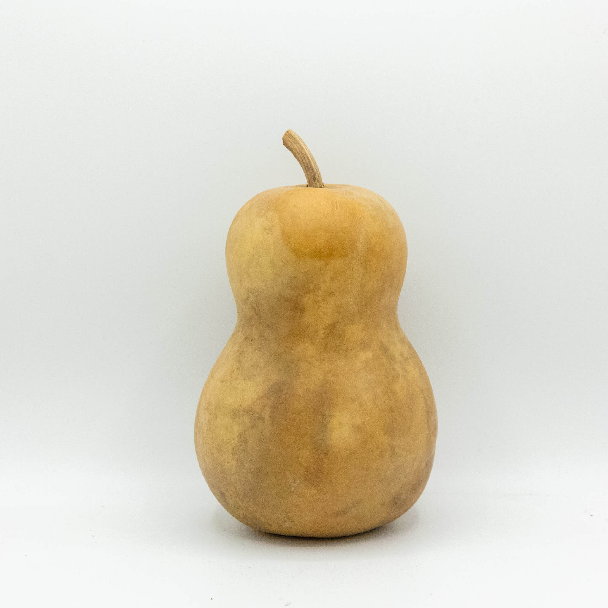 Dried Hourglass Bottle Gourd - 5" in Diameter