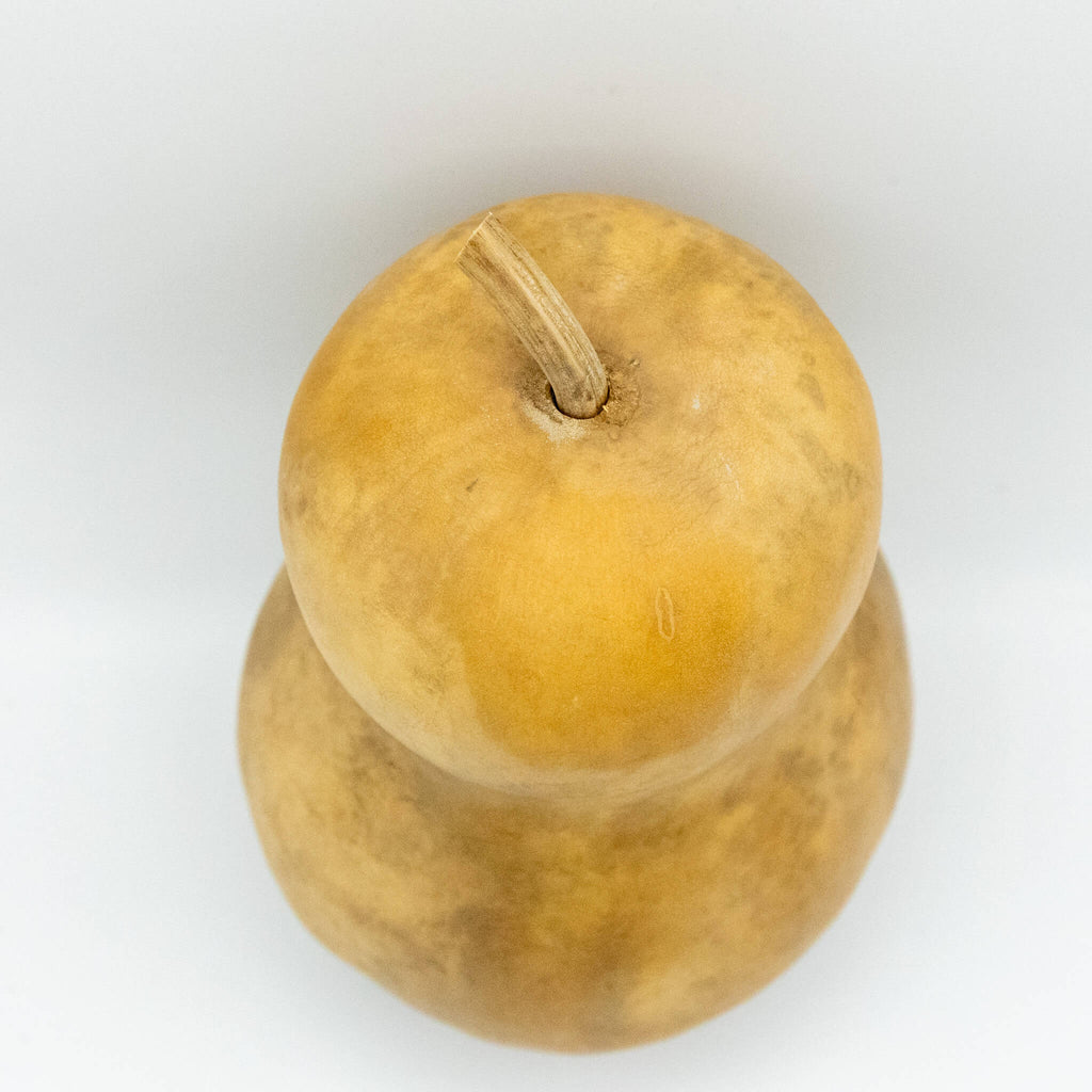 Dried Hourglass Bottle Gourd - 5" in Diameter