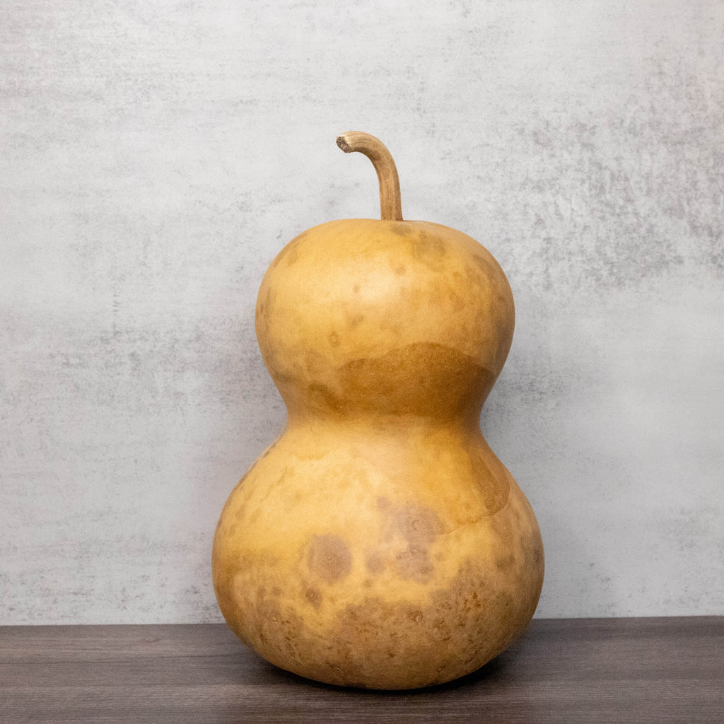 Dried Hourglass Bottle Gourd - 6" in Diameter