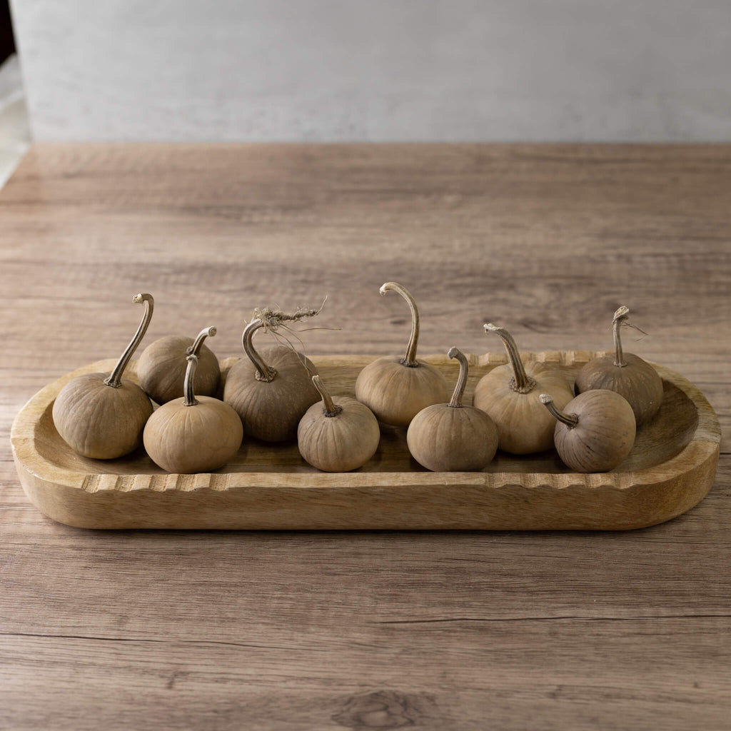 Dried Mini Pumpkin Gourd
