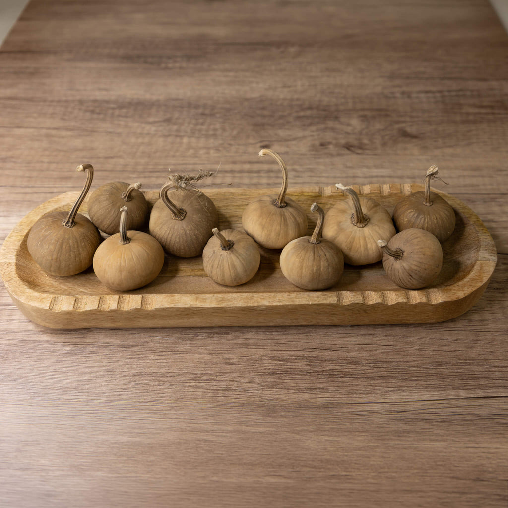 Dried Mini Pumpkin Gourd