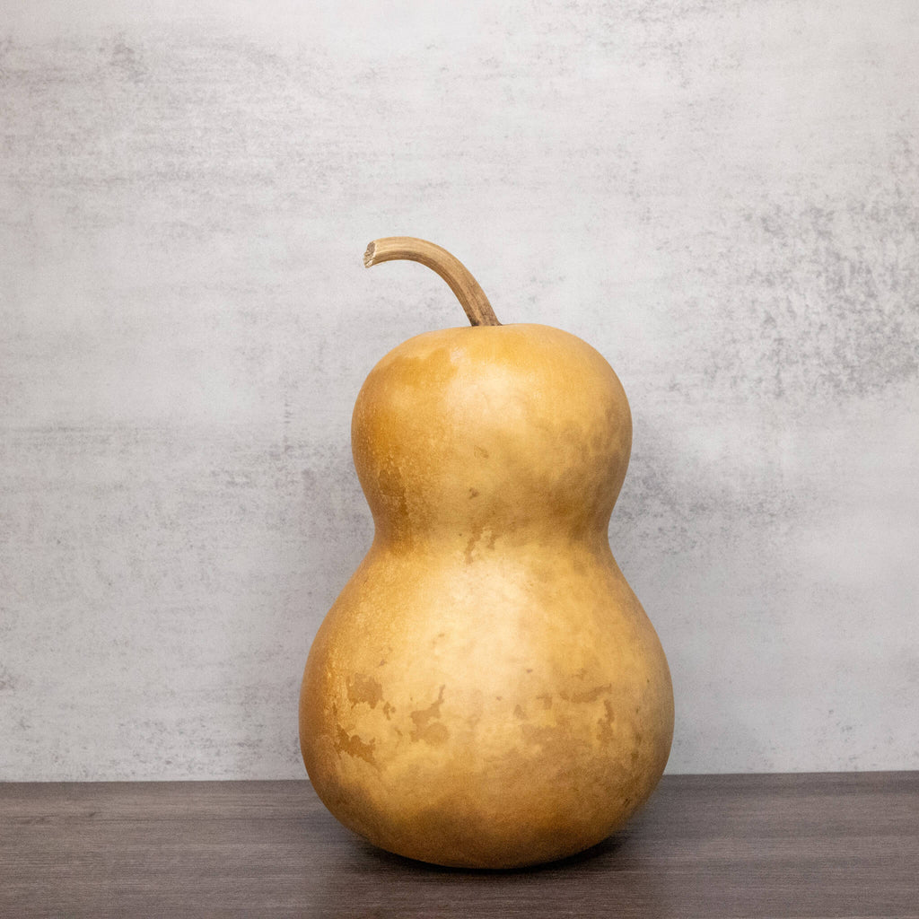 Dried Hourglass Bottle Gourd - 6" in Diameter