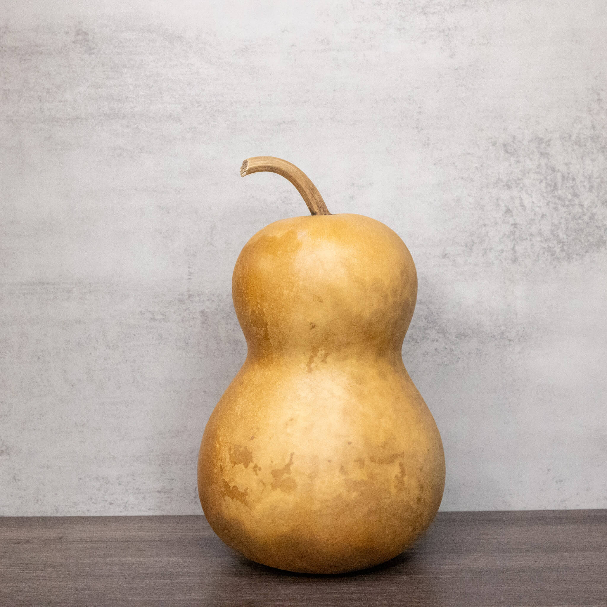 Dried Hourglass Bottle Gourd - 6" in Diameter
