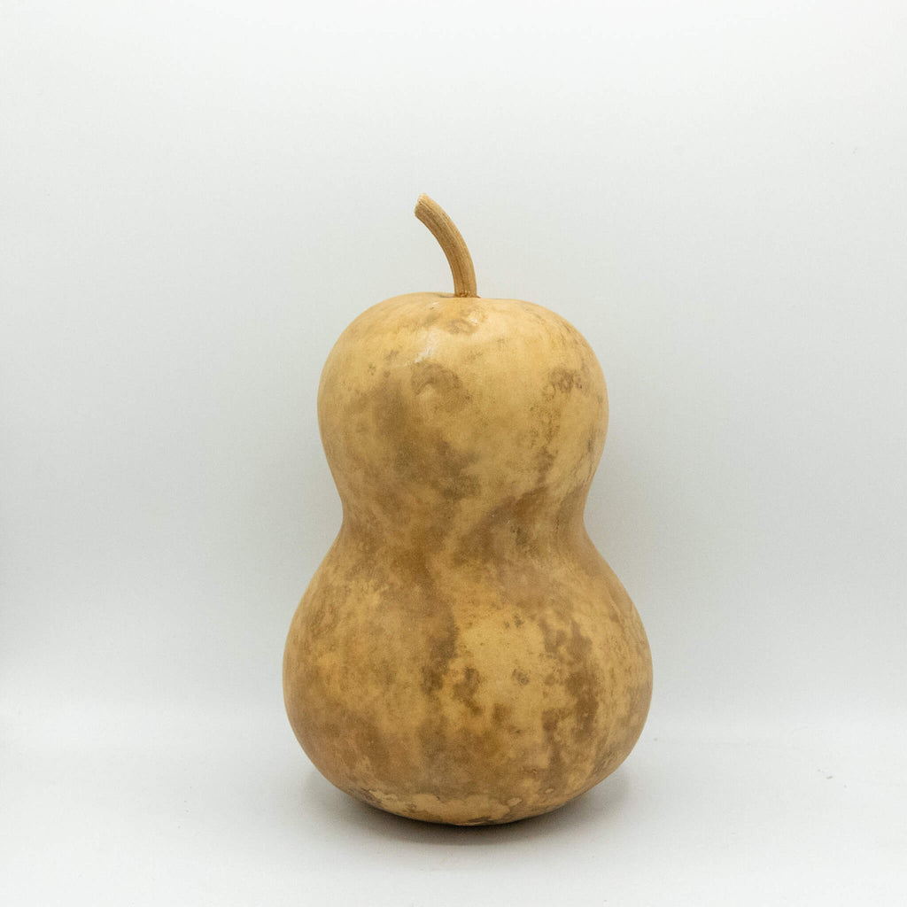 Dried Hourglass Bottle Gourd - 6" in Diameter