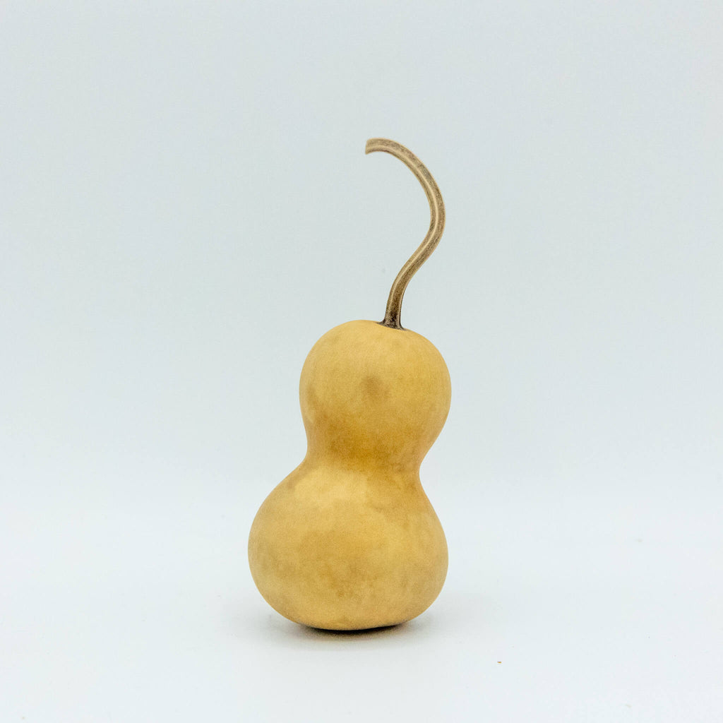 Dried Mini Bottle Gourd - 1.75" in Diameter