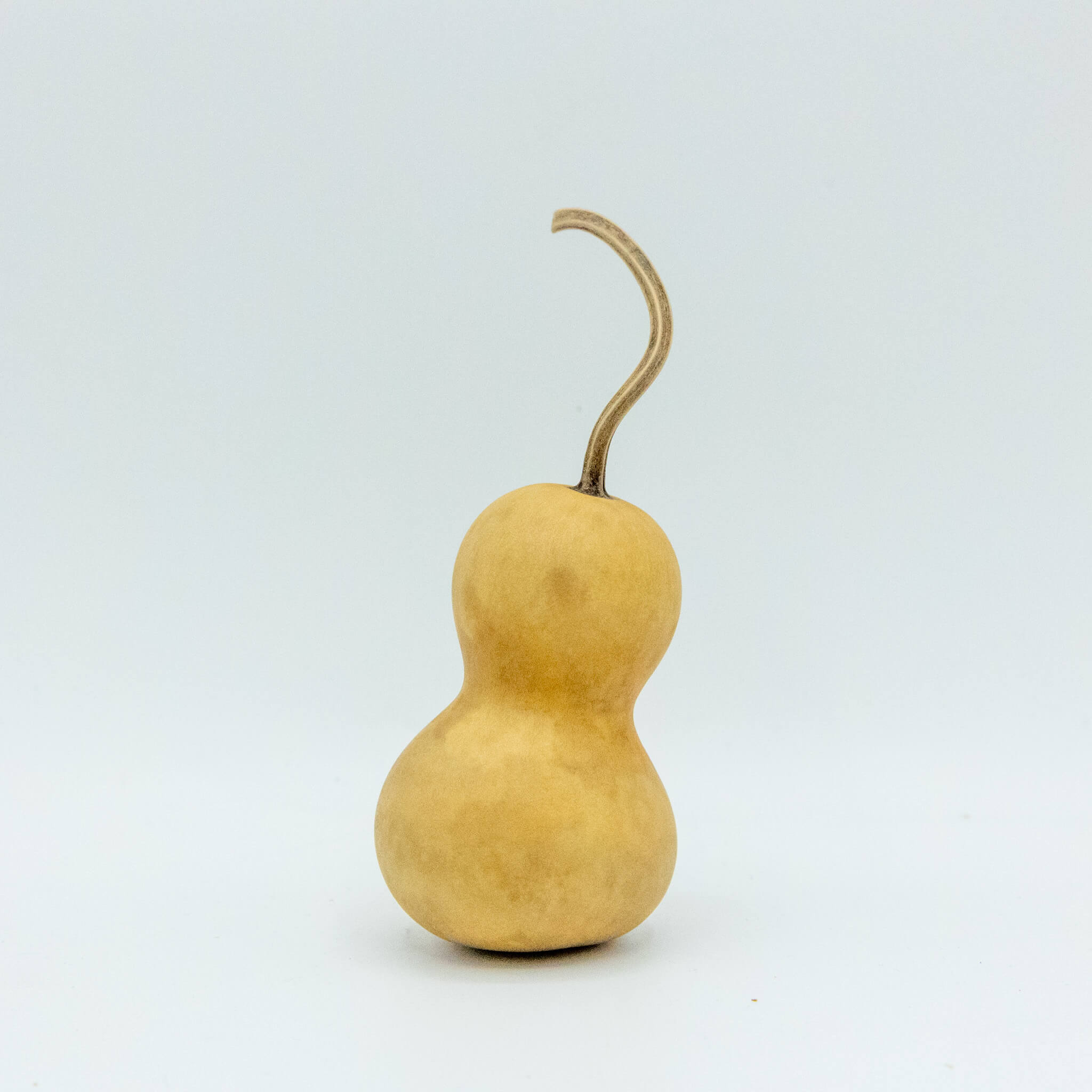 Dried Mini Bottle Gourd - 1.75" in Diameter