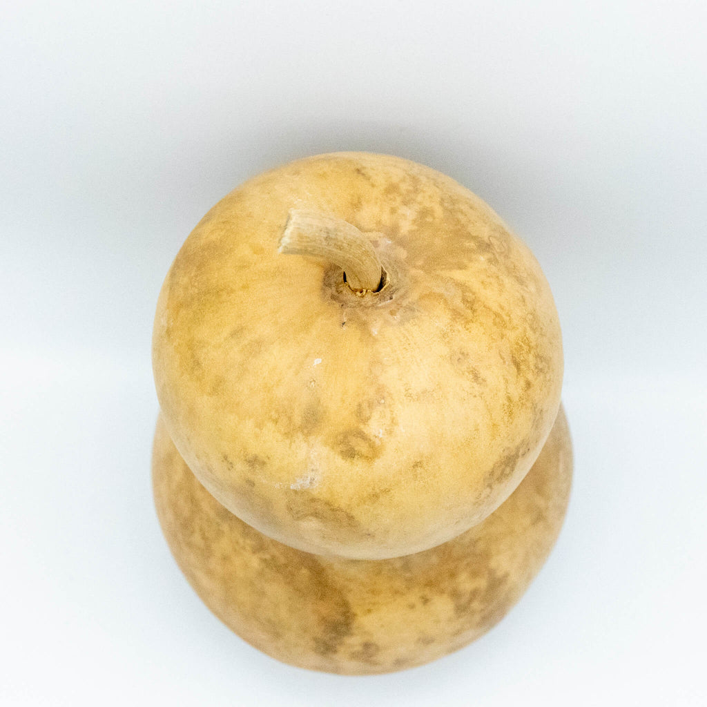 Dried Hourglass Bottle Gourd - 6" in Diameter
