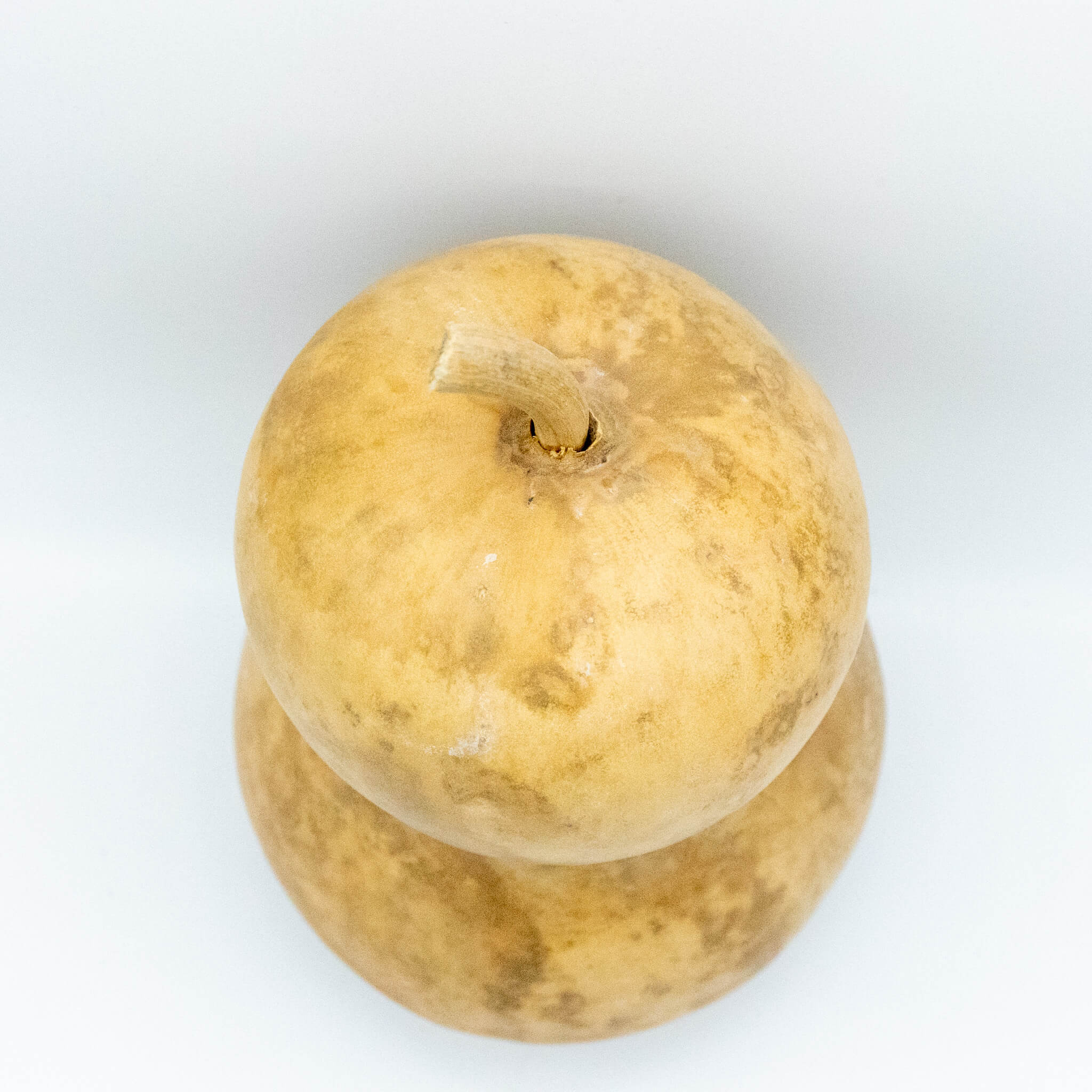 Dried Hourglass Bottle Gourd - 6" in Diameter