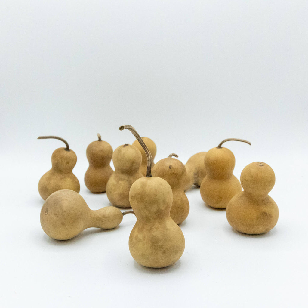 Dried Mini Bottle Gourd - 1.75" in Diameter
