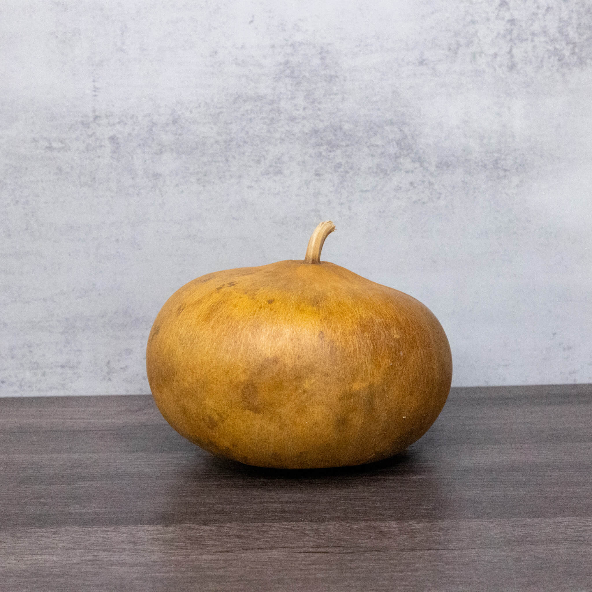 Dried Canteen Gourd - 6" in Diameter