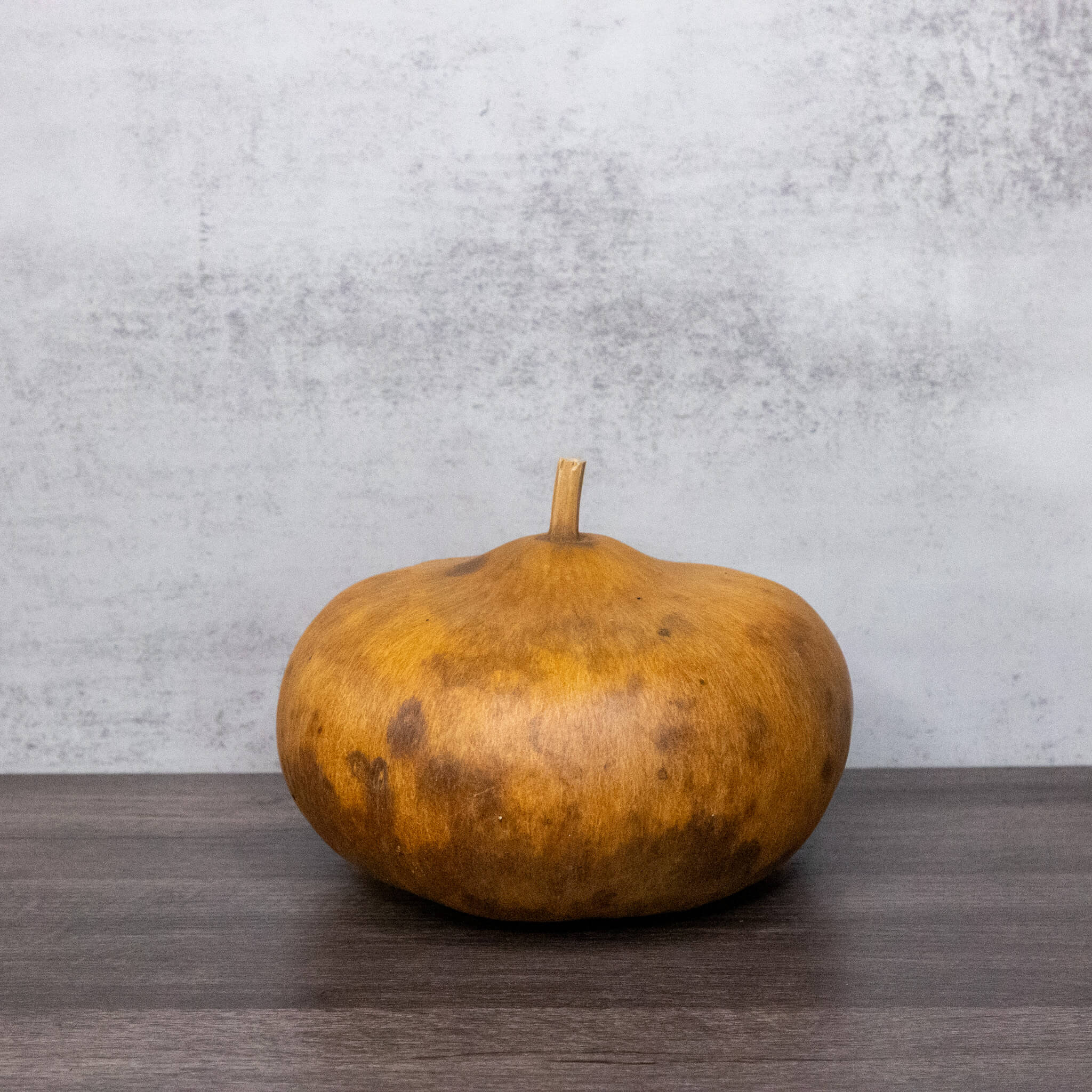 Dried Canteen Gourd - 6" in Diameter
