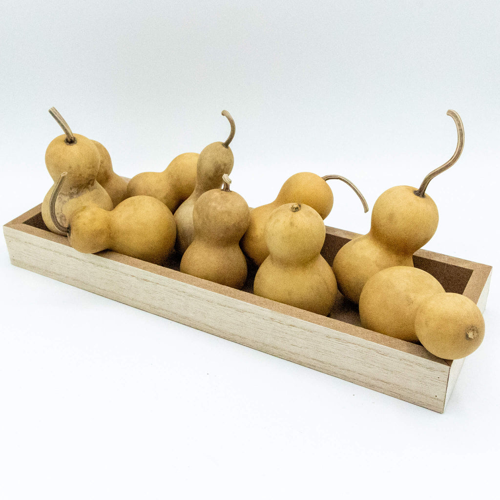 Dried Mini Bottle Gourd - 1.75" in Diameter