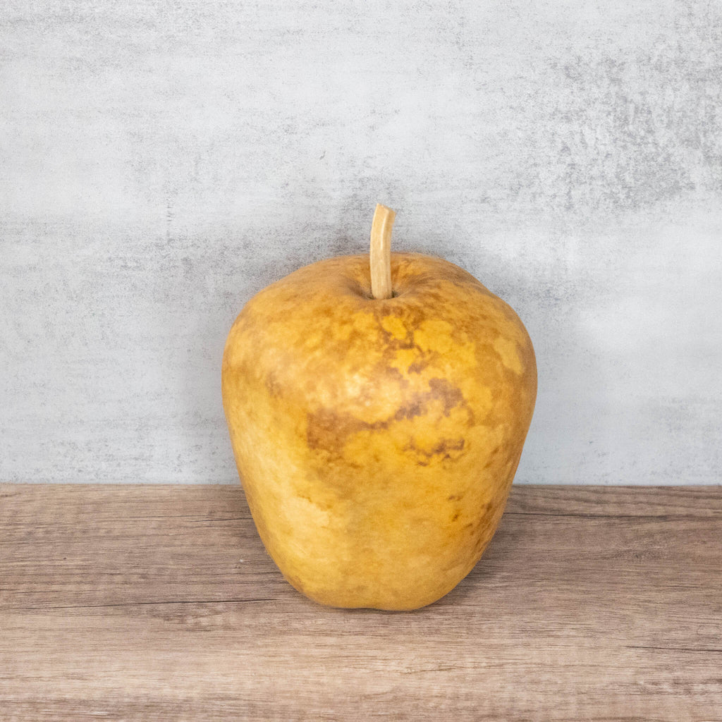 Dried Medium Apple Gourd Shaped Like Bell Peppers