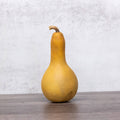 Dried Dipper Gourd - 2" in Diameter