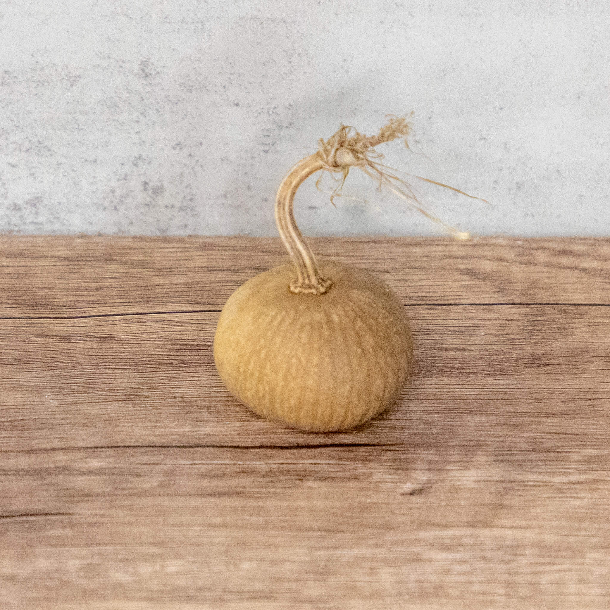 Dried Mini Pumpkin Gourd
