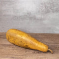 Dried People Gourd - 12-14" in Length