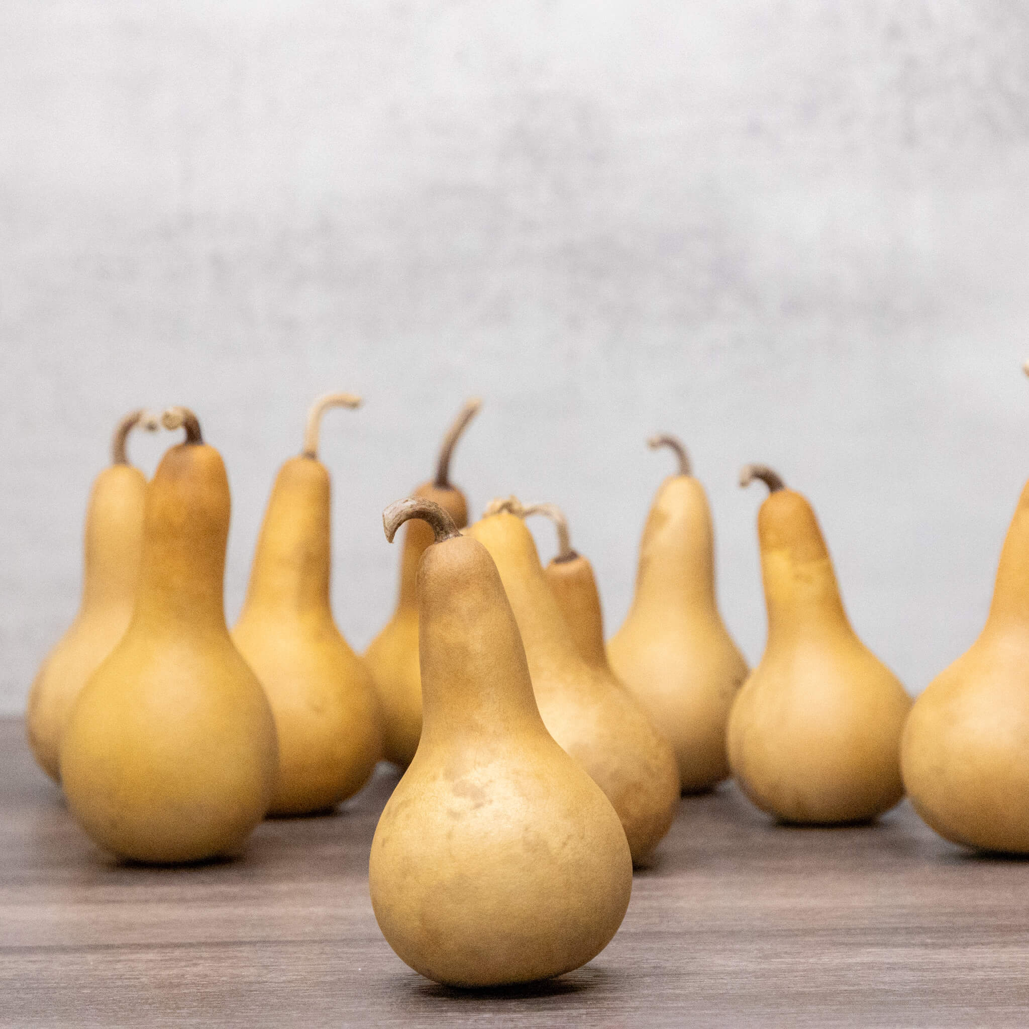 Dried Dipper Gourd - 2" in Diameter