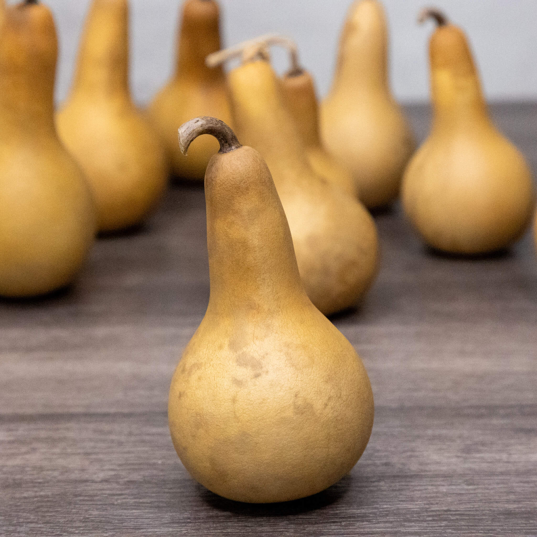Dried Dipper Gourd - 2" in Diameter