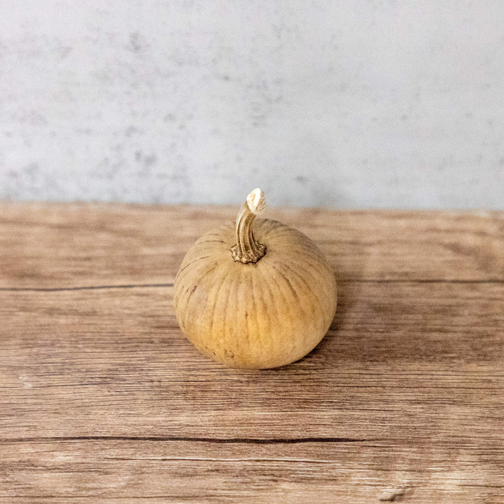 Dried Mini Pumpkin Gourd