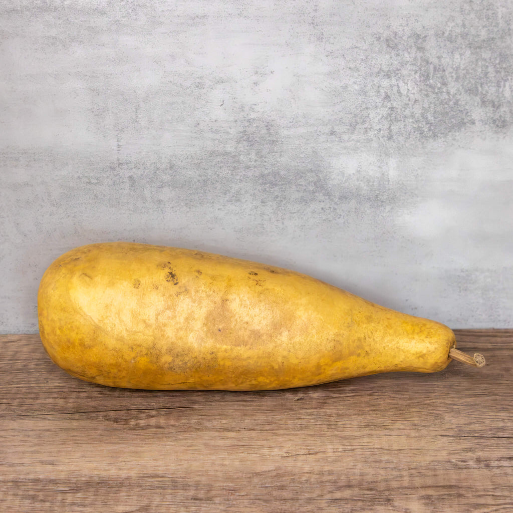 Dried People Gourd - 12-14" in Length