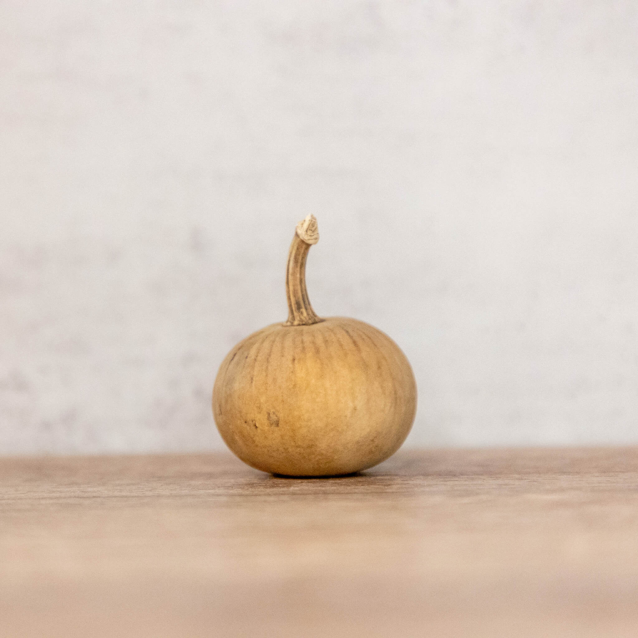 Dried Mini Pumpkin Gourd