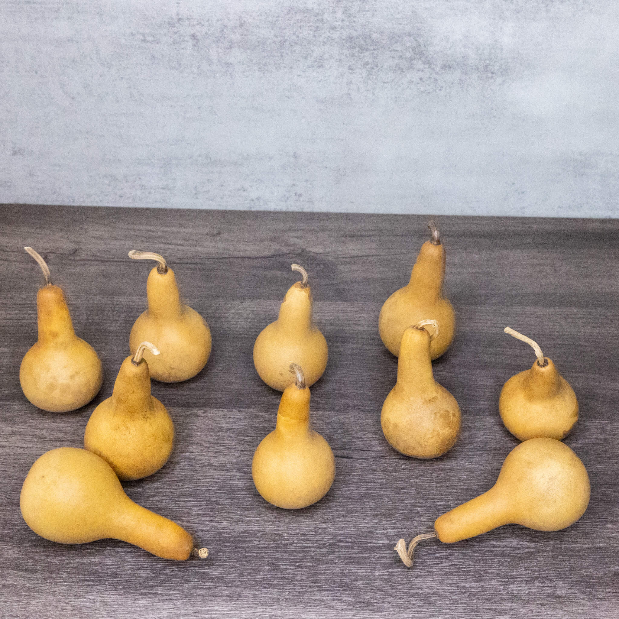Dried Dipper Gourd - 2" in Diameter
