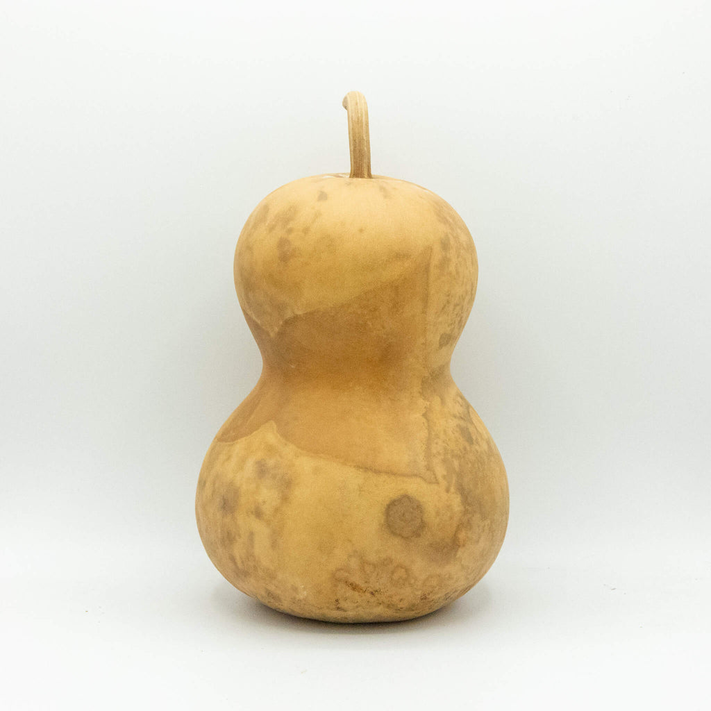Dried Hourglass Bottle Gourd - 6" in Diameter