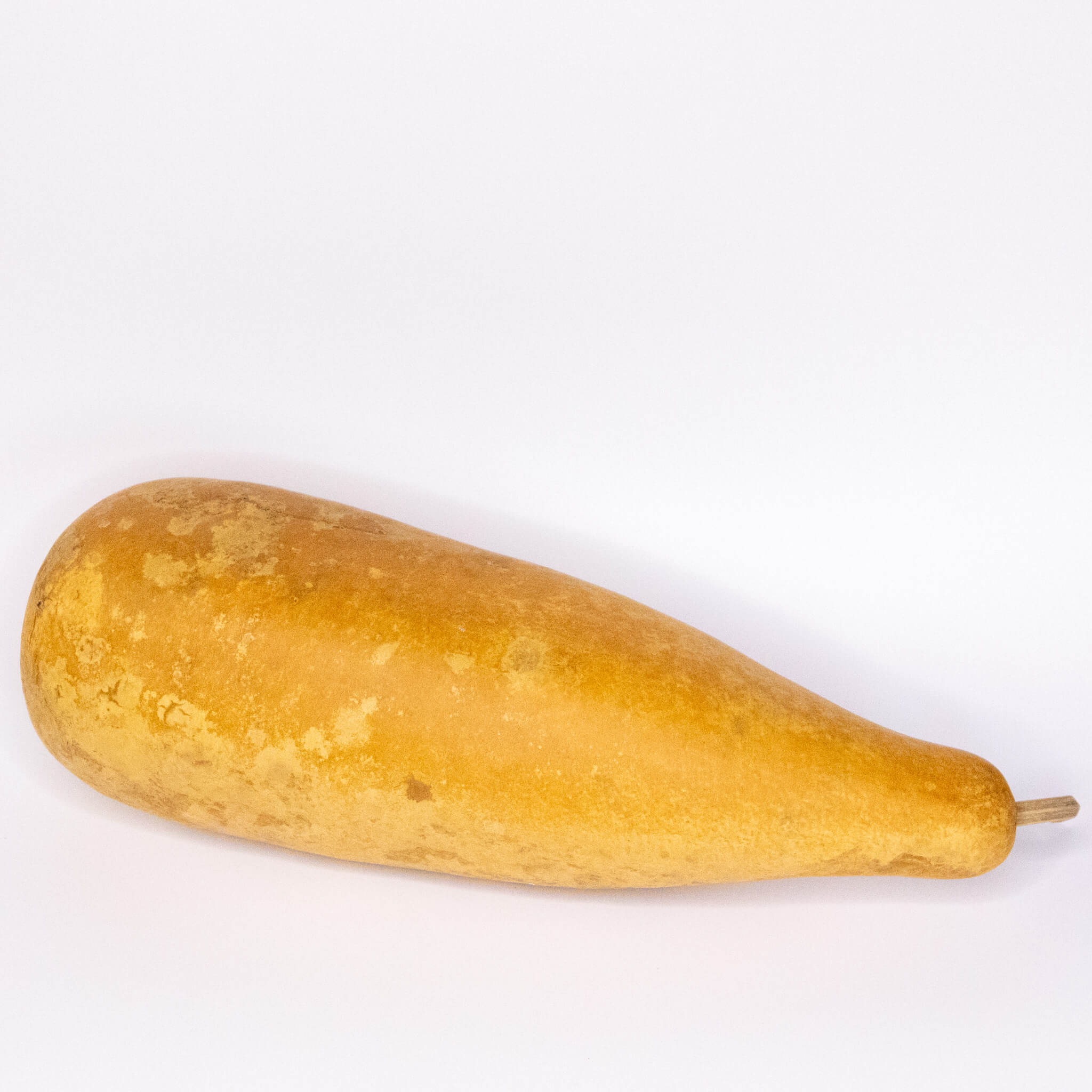 Dried People Gourd - 12-14" in Length