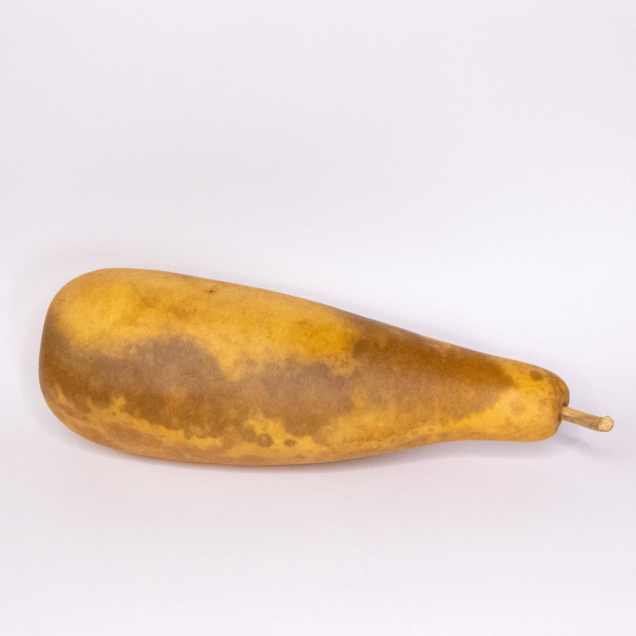 Dried People Gourd - 12-14" in Length