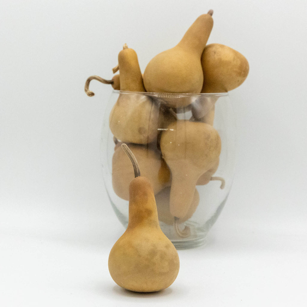 Dried Dipper Gourd - 2" in Diameter