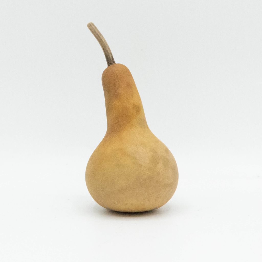 Dried Dipper Gourd - 2" in Diameter