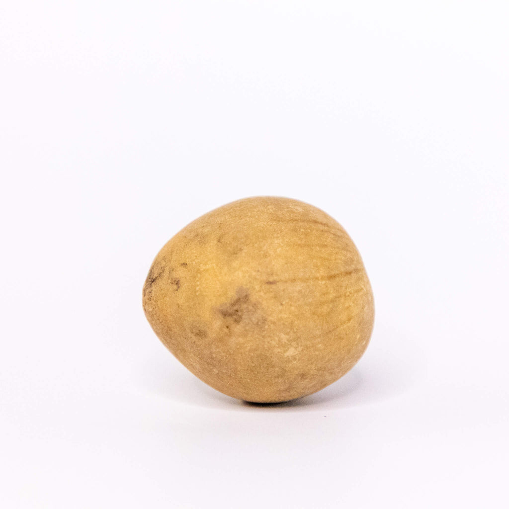 Dried Egg Gourd Ball - 1" in Diameter