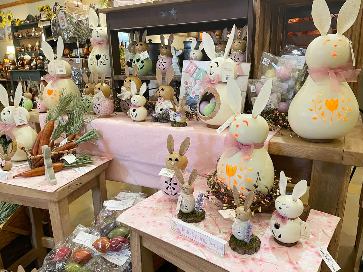 spring gourds at Meadowbrooke Gourds
