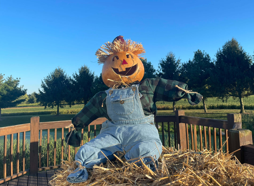 Gourd scarecrow at Meadowbrooke Gourds