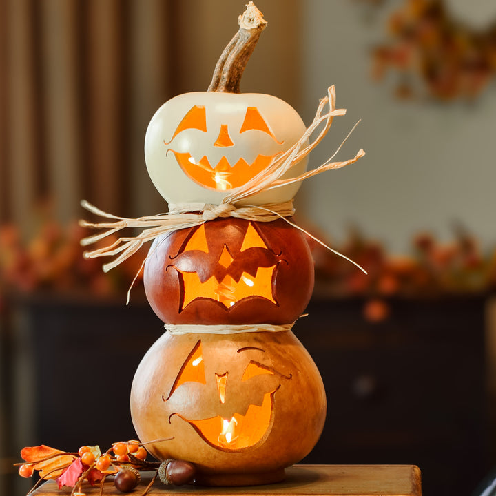 Jack Stack Large Lit Gourd at Meadowbrooke Gourds. 