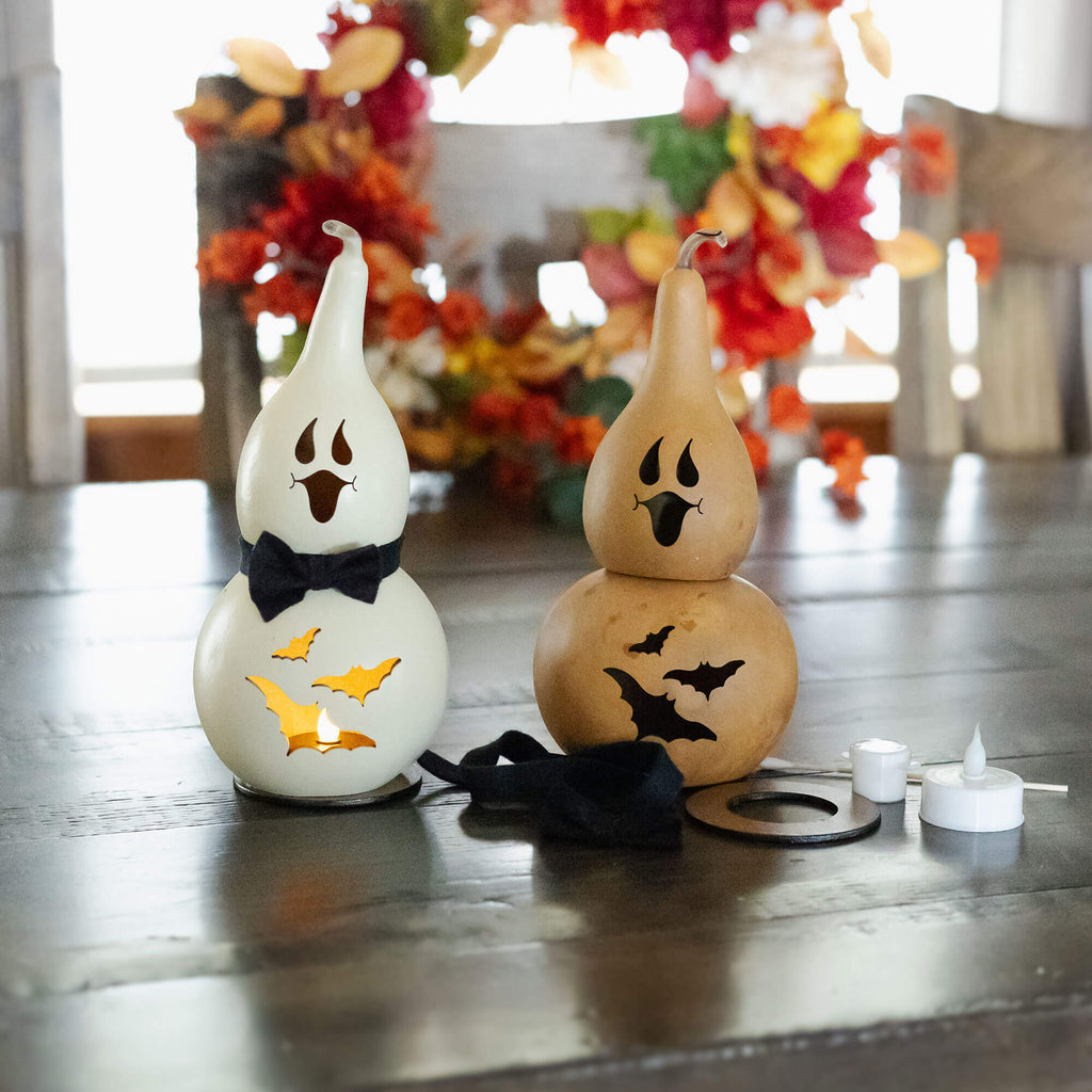 Jake Ghost Gourd Craft Kit at Meadowbrooke Gourds. 