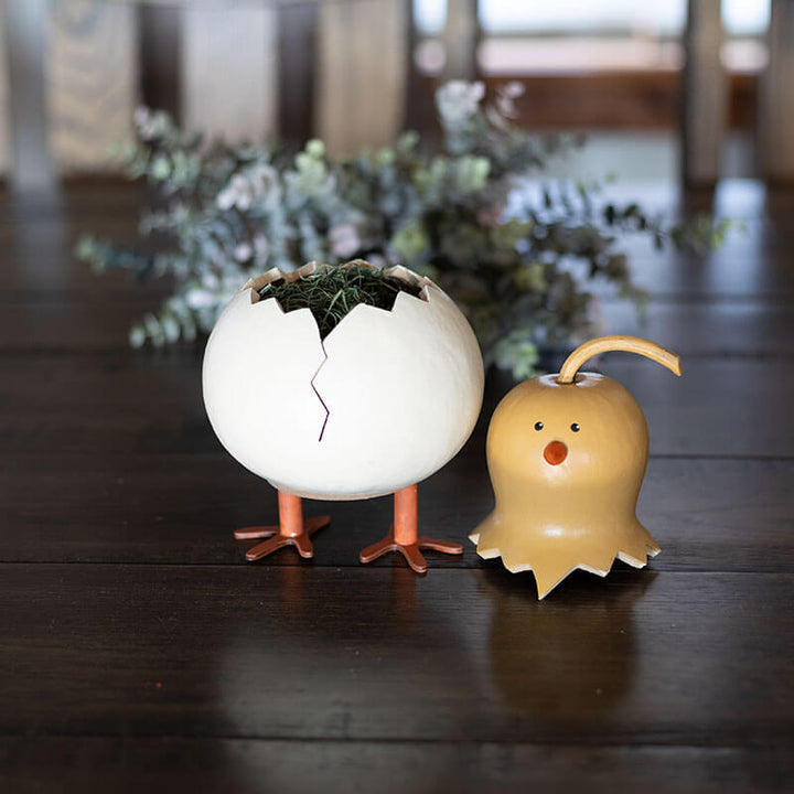Flora Chick Gourd Craft Kit at Meadowbrooke Gourds. 