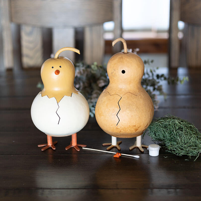 Flora Chick Gourd Craft Kit at Meadowbrooke Gourds. 