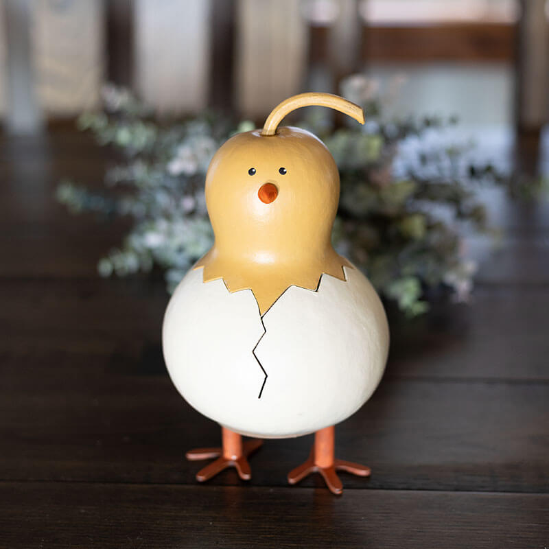 Flora Chick Gourd Craft Kit at Meadowbrooke Gourds. 