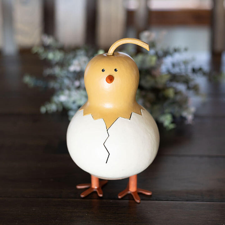 Flora Chick Gourd Craft Kit at Meadowbrooke Gourds. 