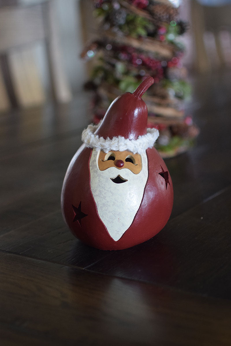 Santa Craft Kit Finished at Meadowbrooke Gourds. 