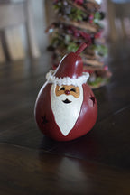 Santa Craft Kit Finished at Meadowbrooke Gourds. 