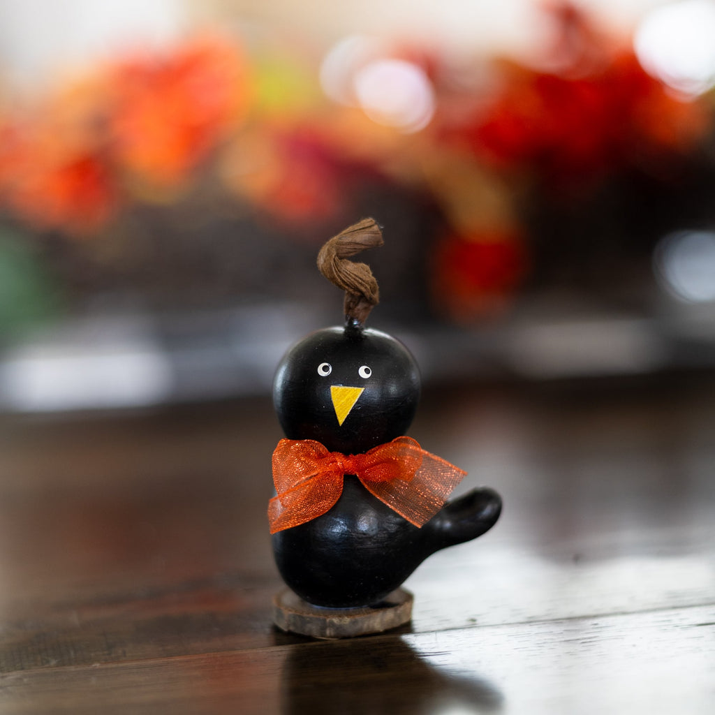 Lil Crow Gourd at Meadowbrooke Gourds. 